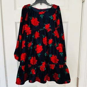 Janie and Jack Black Velvet Dress with Red Rose Print